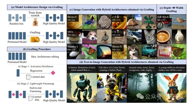 李飞飞团队提出架构设计新思路！无需从头训练，直接“嫁接”预训练模型关键组件